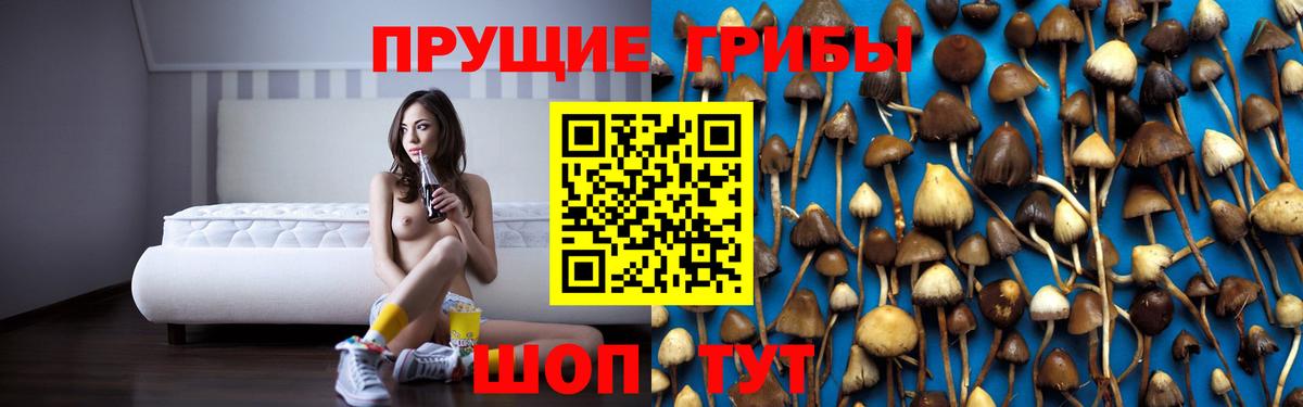 Псилоцибиновые грибы Psilocybine cubensis Амурск