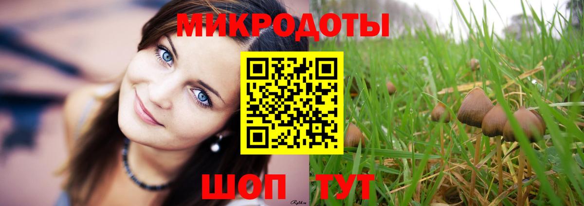 Амурск  Псилоцибиновые грибы MAGIC MUSHROOMS  Вход с VPN 